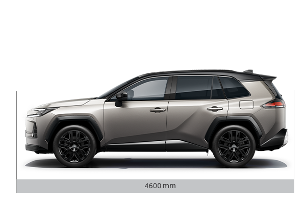marime-rav4